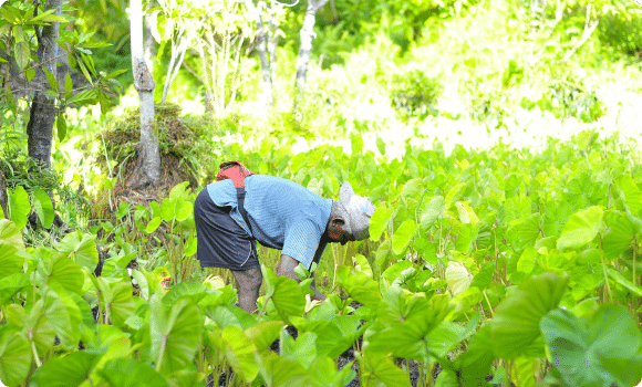 outdoor-workers